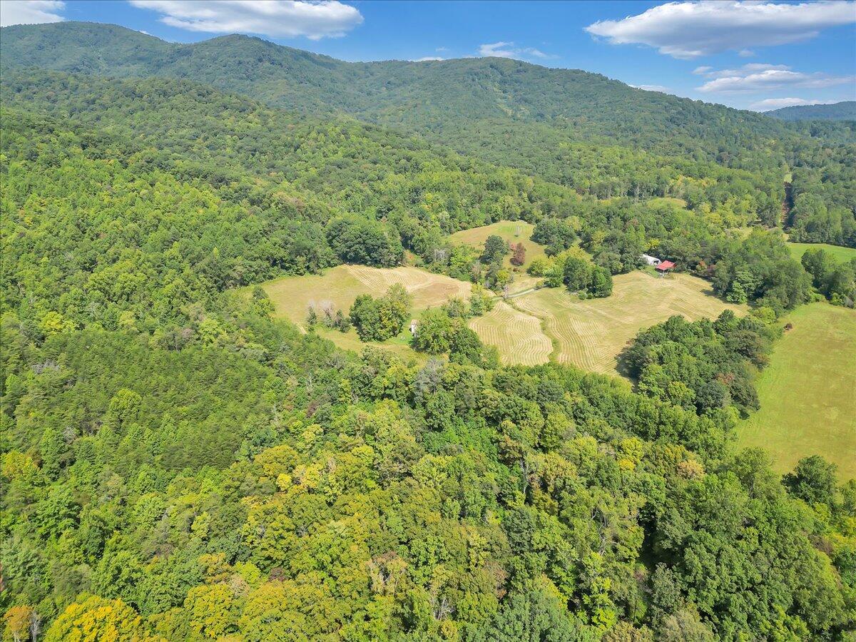 0 Newcomb Road Floyd, VA 24091 - Photo 10 of 21 08-DJI_0352