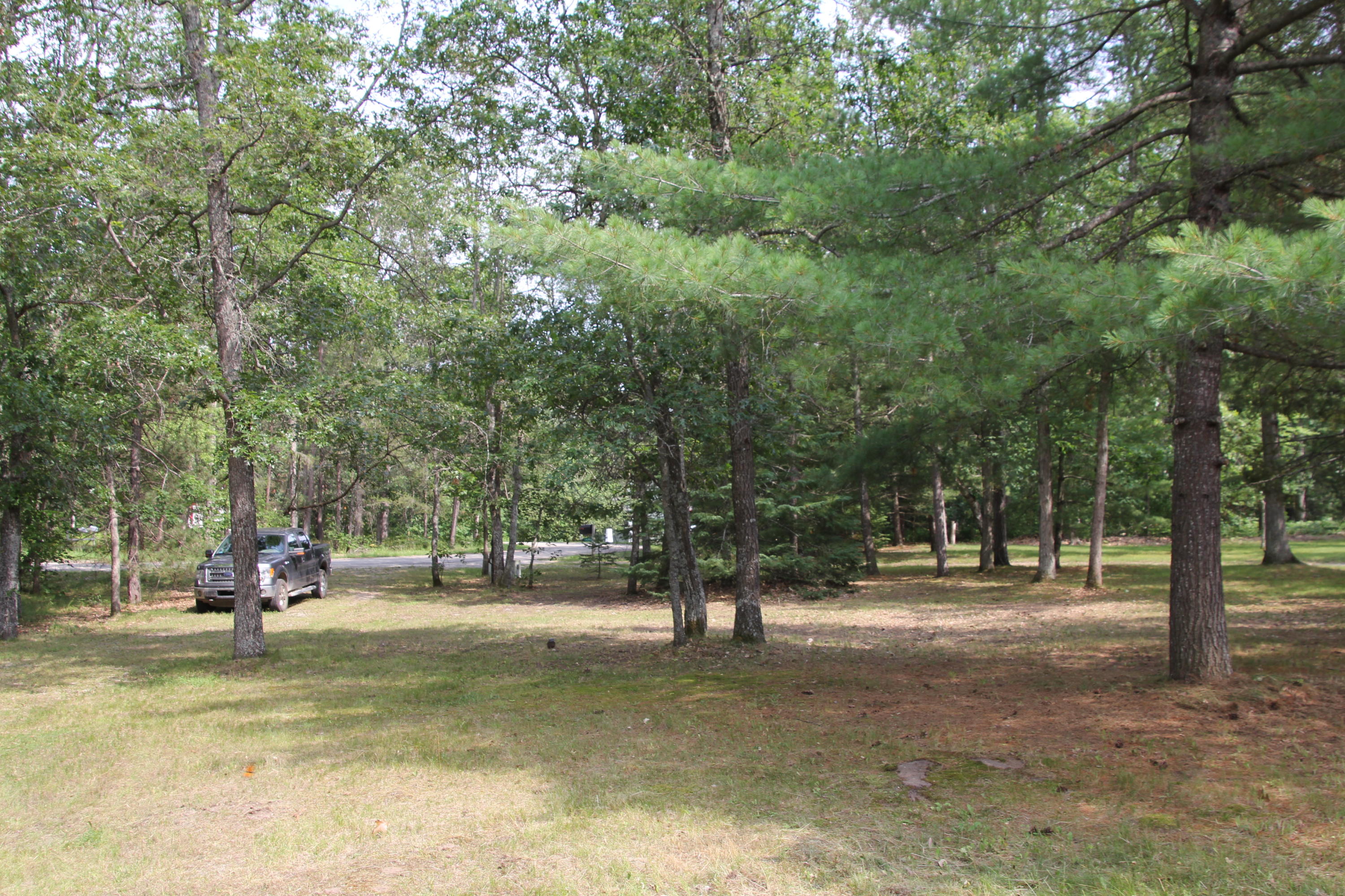 19310 Barberry Road Atlanta, MI 49709 - Photo 13 of 53 Gallery Image 13