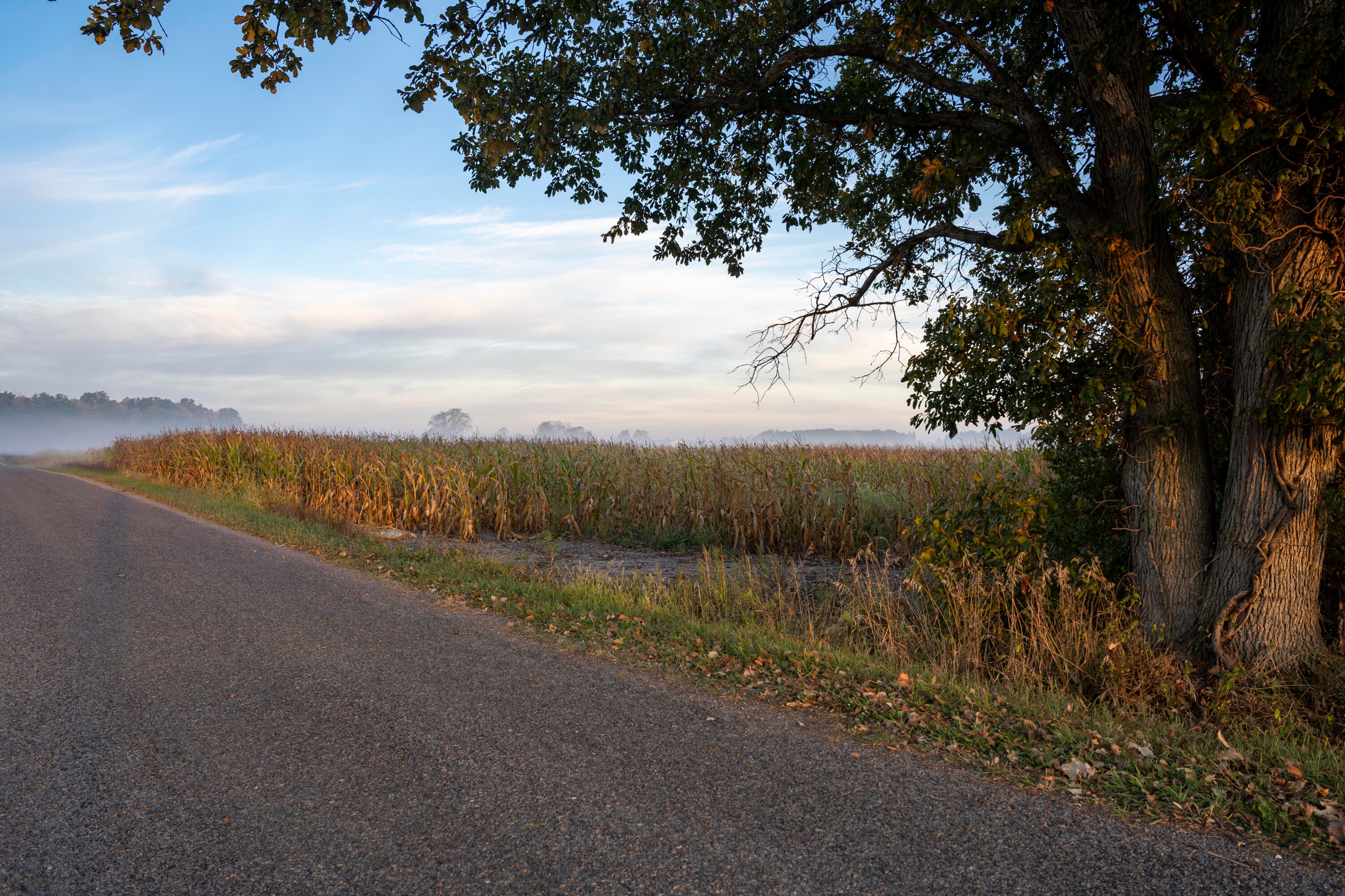 0 G Road Edon, OH 43518 - Photo 24 of 30 A7N01022