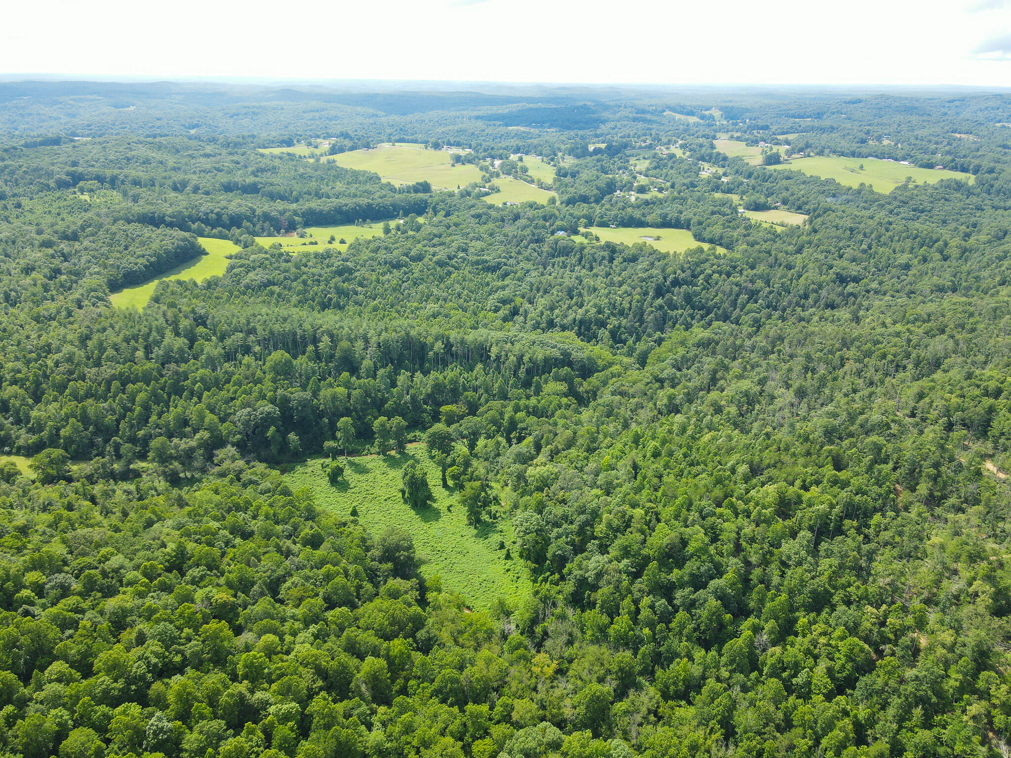 0 Old Mt Zion Road Williamsburg, KY 40769 - Photo 22 of 36 DJI_0006