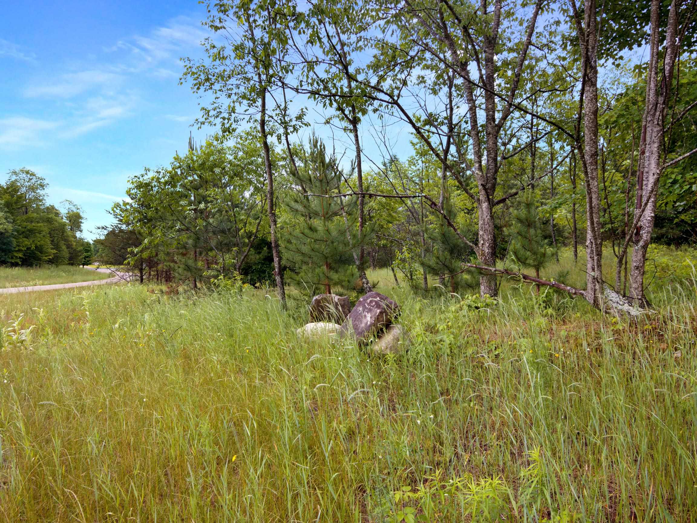 0 Maple Farms Lane Kingsley, MI 49649 - Photo 11 of 21 1947367-ab24102d-2de4-4a33-8a12-c55a9aaee062.JPG