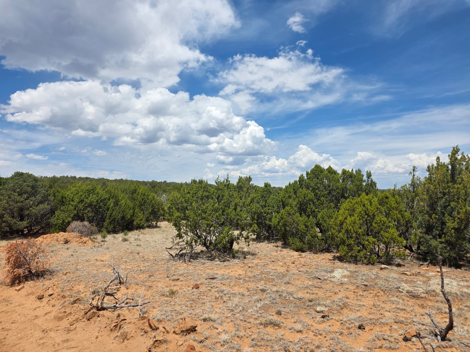 0 County Rd B28A Ribera, NM 87560 - Photo 7 of 32