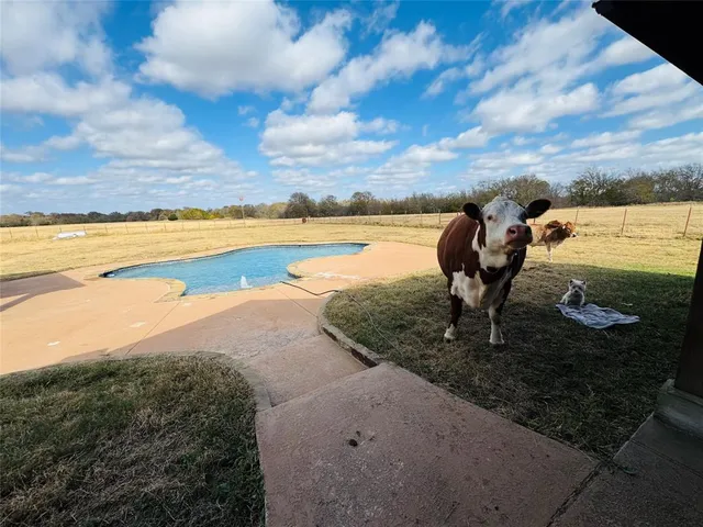a view of snow covered with trees