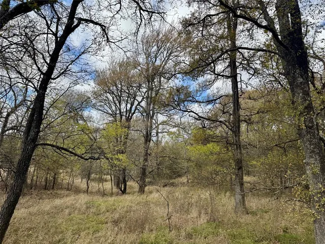 a view of an empty room with wooden floor fireplace and a window
