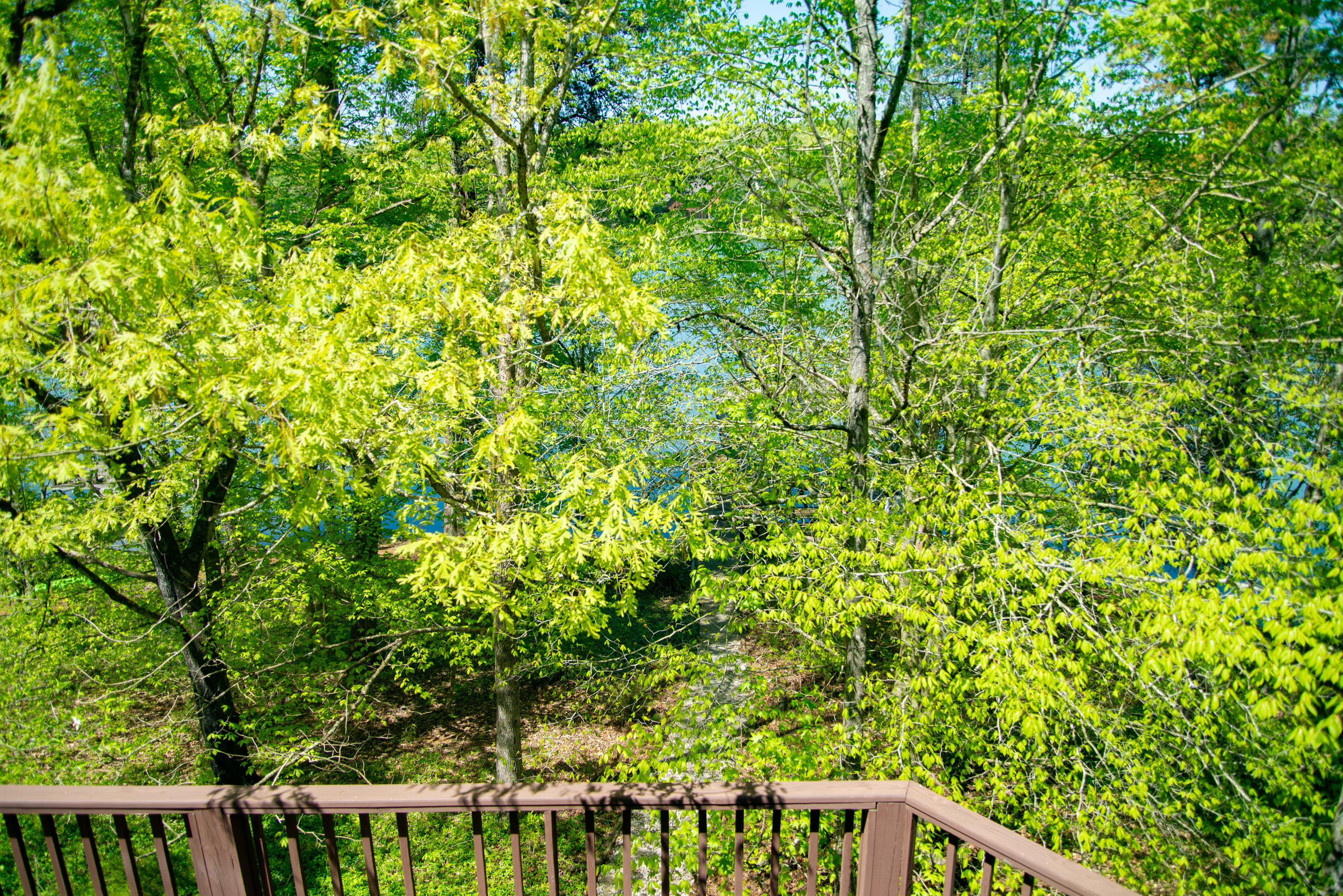130 Island Road Kingston, TN 37763 - Photo 10 of 33 Island 21