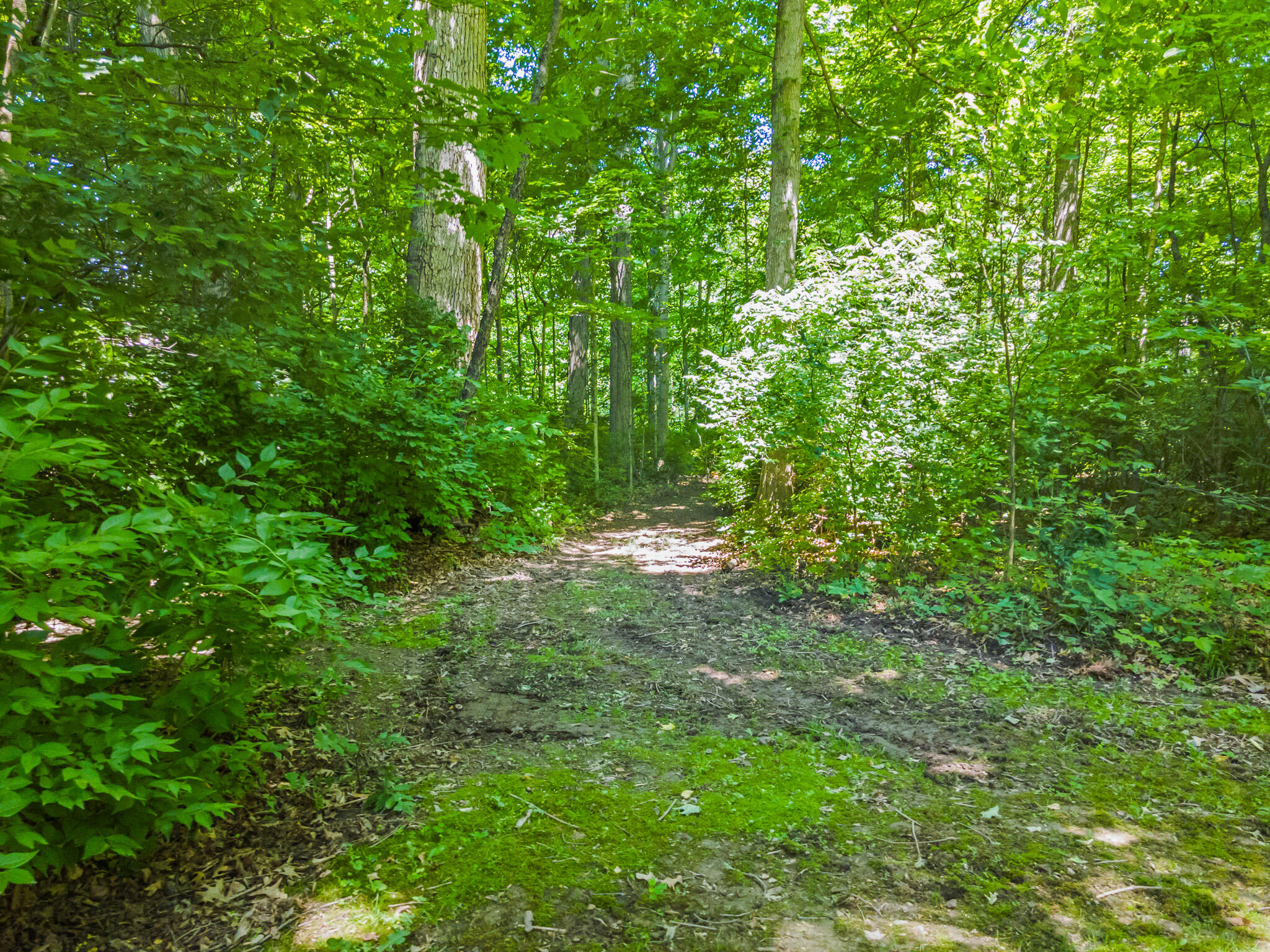 6348 Troy-Frederick Road Tipp City, OH 45371 - Photo 7 of 65 DJI_0080