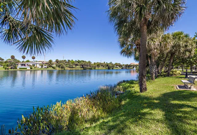 a view of a lake with a palm trees