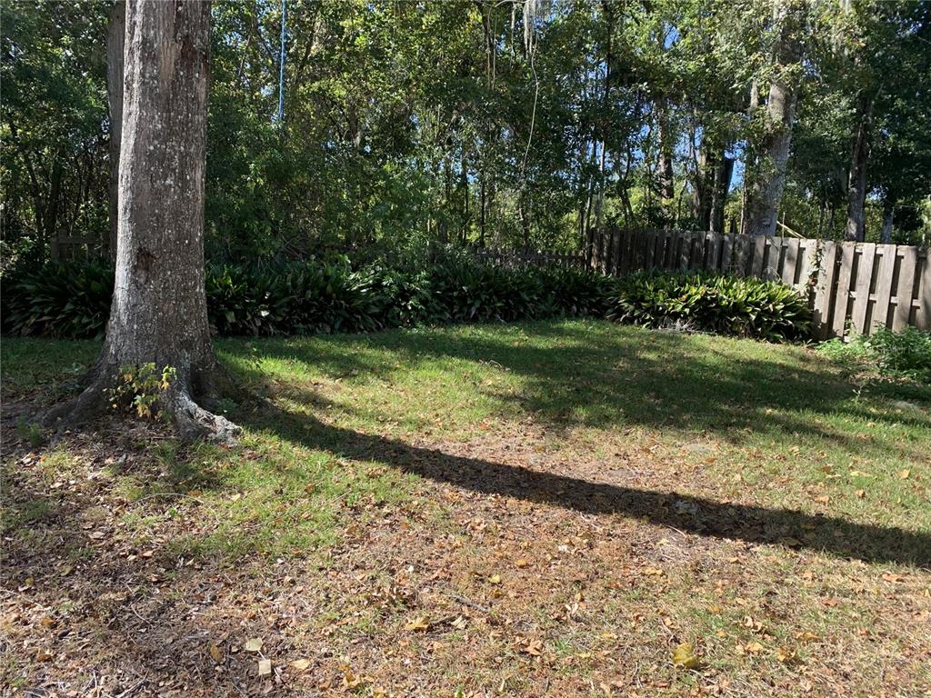 10911 Northwest 31st Place Gainesville, FL 32606 - Photo 26 of 27 a view of backyard with green space