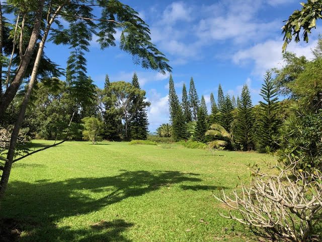 121 Oili Road Haiku, HI 96708 - Photo 24 of 24 a view of a field with a tree