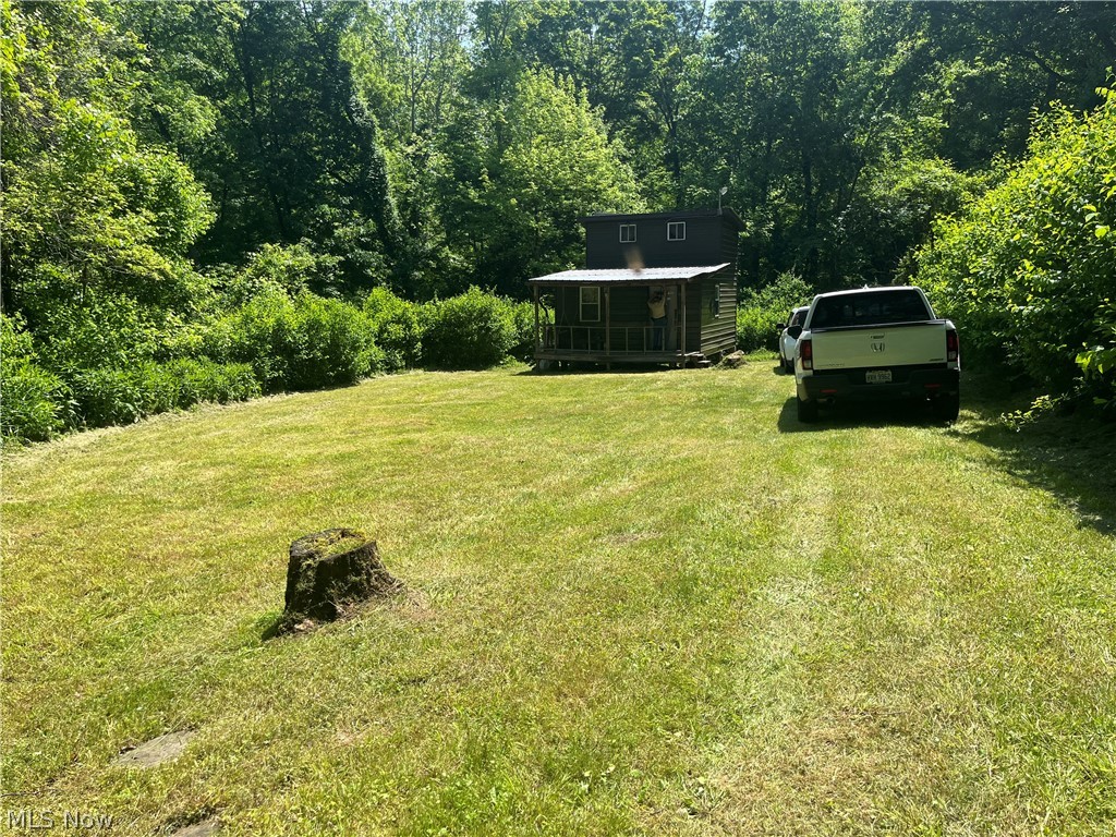 0 Clyde Ruble Road Lewisville, OH 43754 - Photo 9 of 10 View of yard