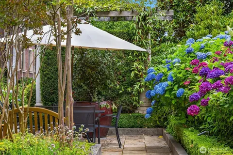 a view of a back yard