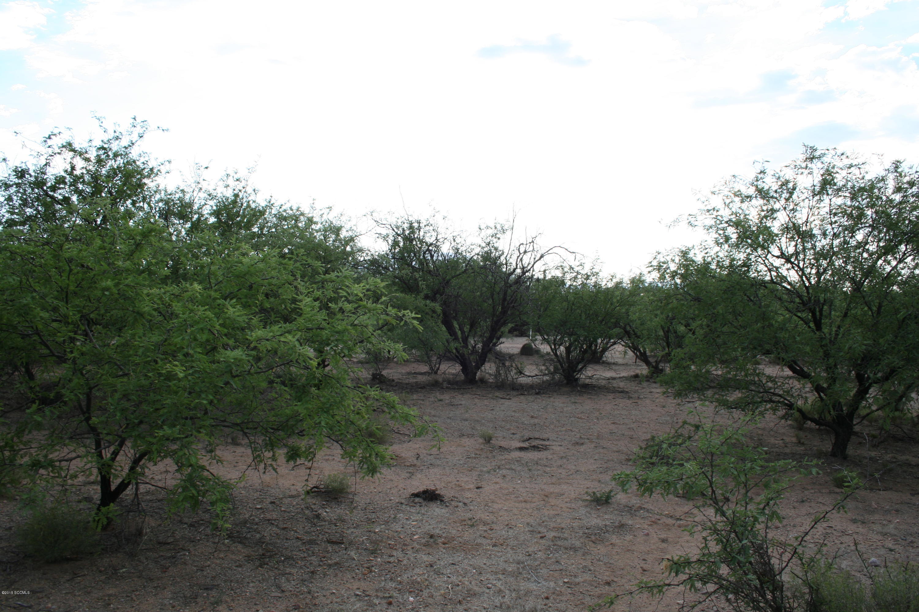 Tbd Tbd Chavez Siding Road, Unit 3 Tubac, AZ 85646 - Photo 3 of 10 IMG_3842