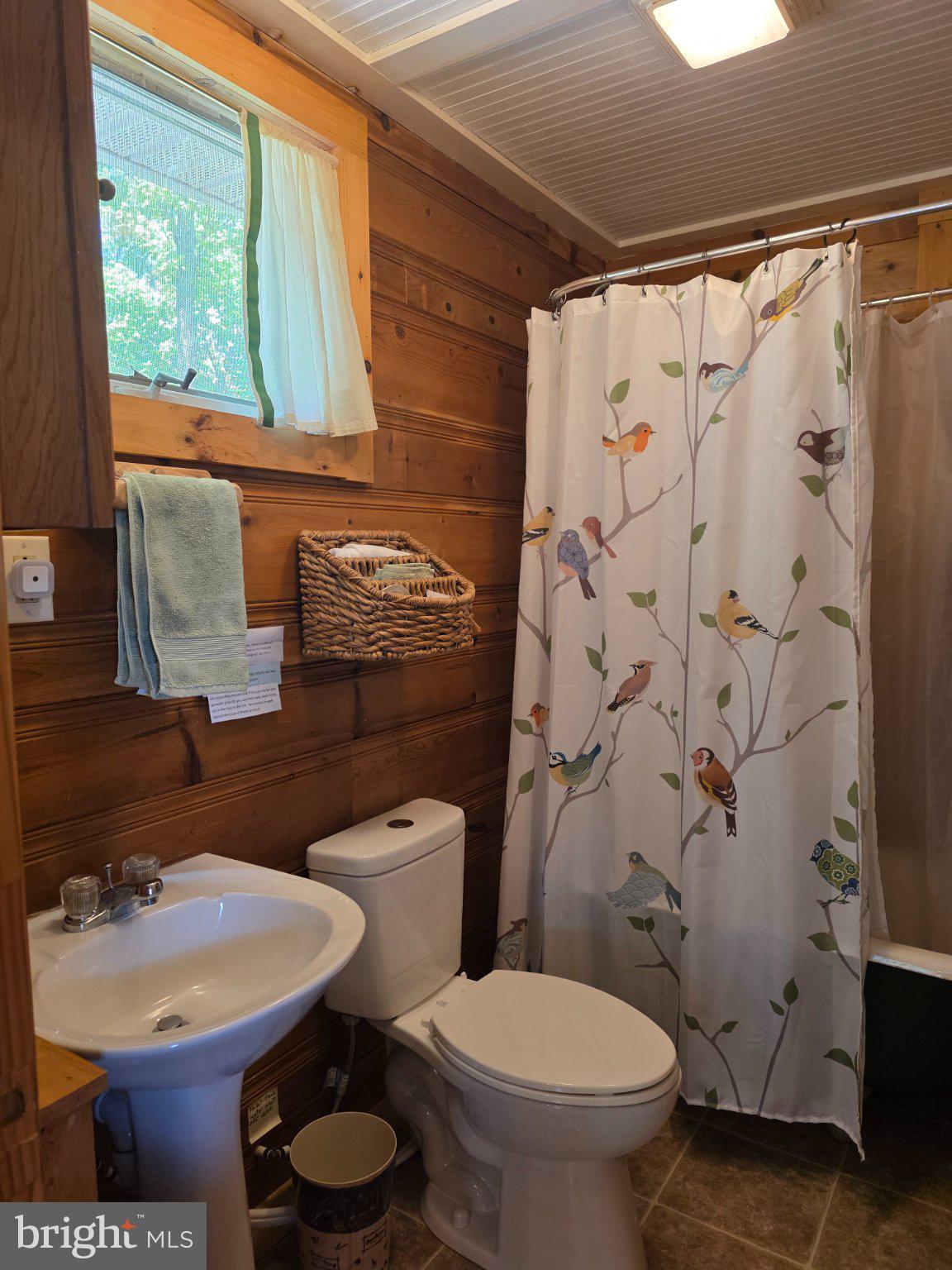 152 Sharp Ridge Lane Franklin, WV 26807 - Photo 17 of 53 a bathroom with a sink toilet and shower