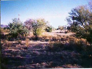 11946 West Ina Road Tucson, AZ 85743 - Photo 2 of 2 Gallery Image 2