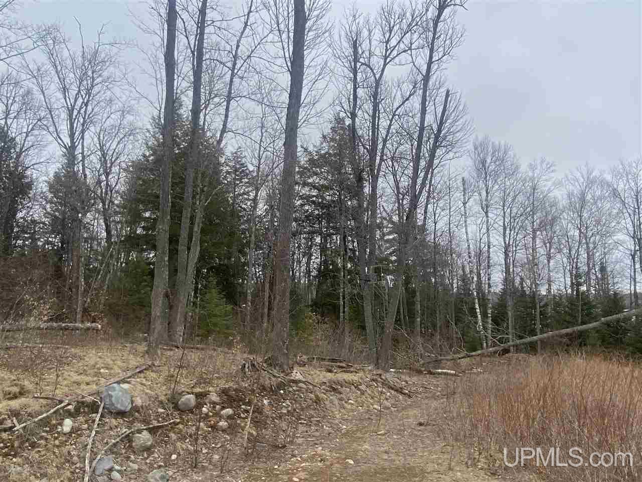 Tbd West Tamarack Lake Road, Unit 17 Iron River, MI 49935 - Photo 31 of 45