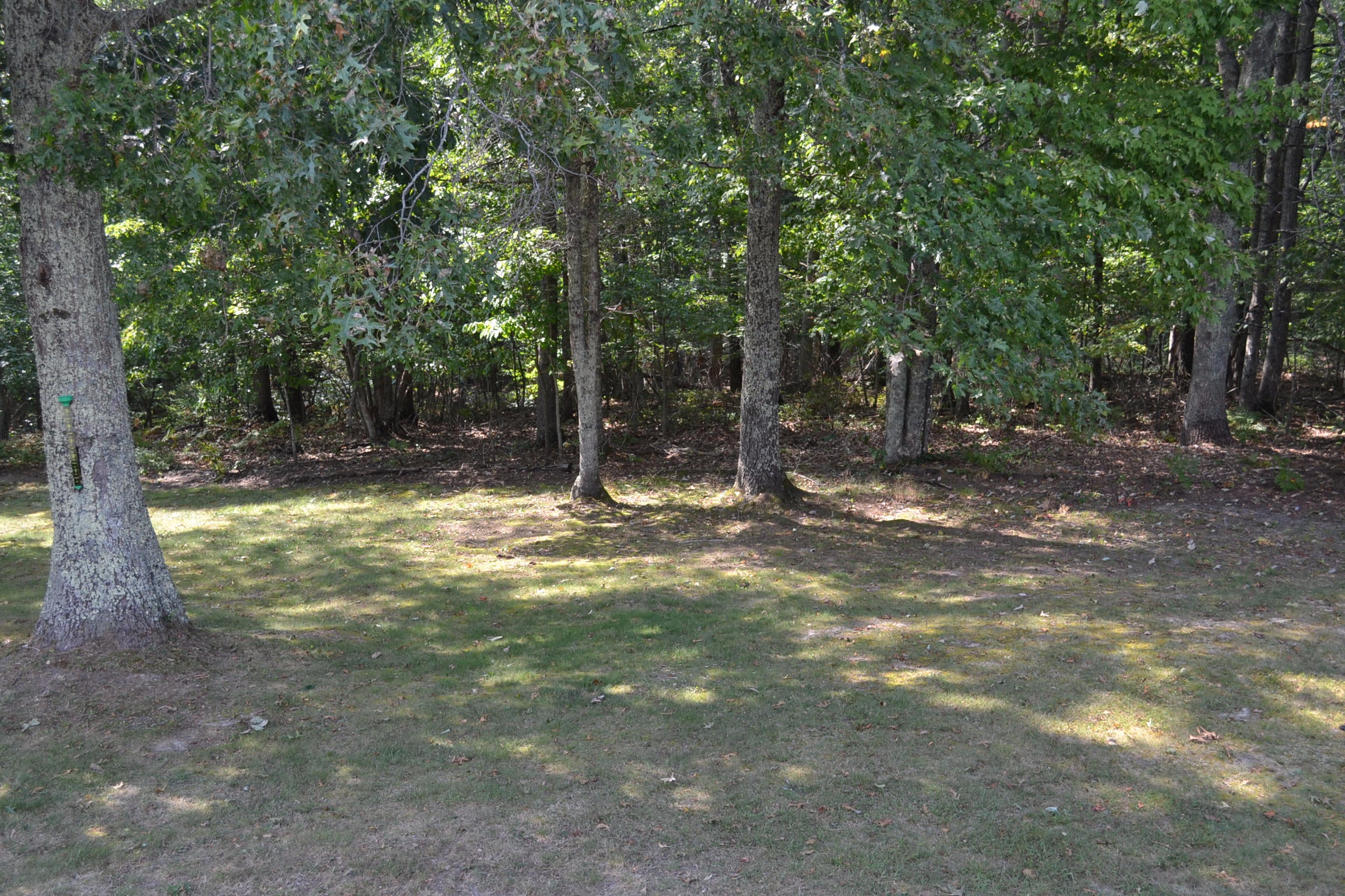 626 Windpsalm Road Renick, WV 24966 - Photo 22 of 75 Gallery Image 22