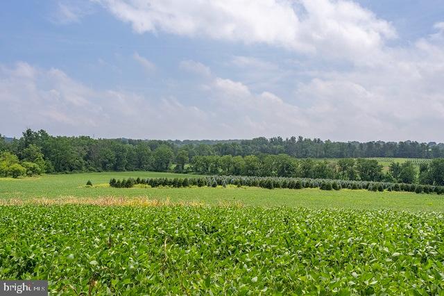 Furnace Hills Pike Lititz, PA 17543 - Photo 5 of 5