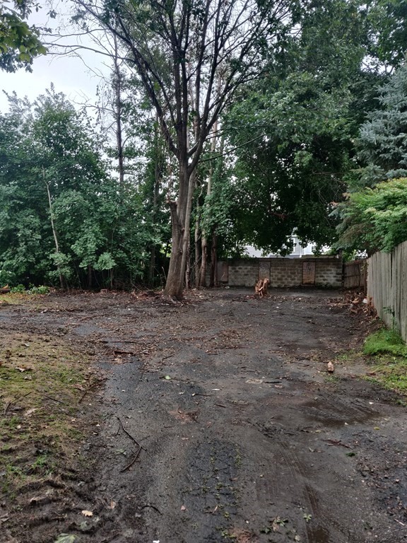 0 Plunkett Street Pittsfield, MA 01201 - Photo 5 of 5