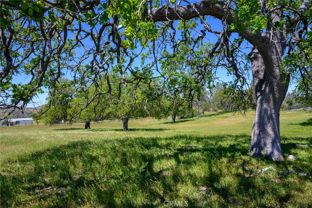2 Huer Huero Road Creston, CA 93432 - Photo 3 of 21
