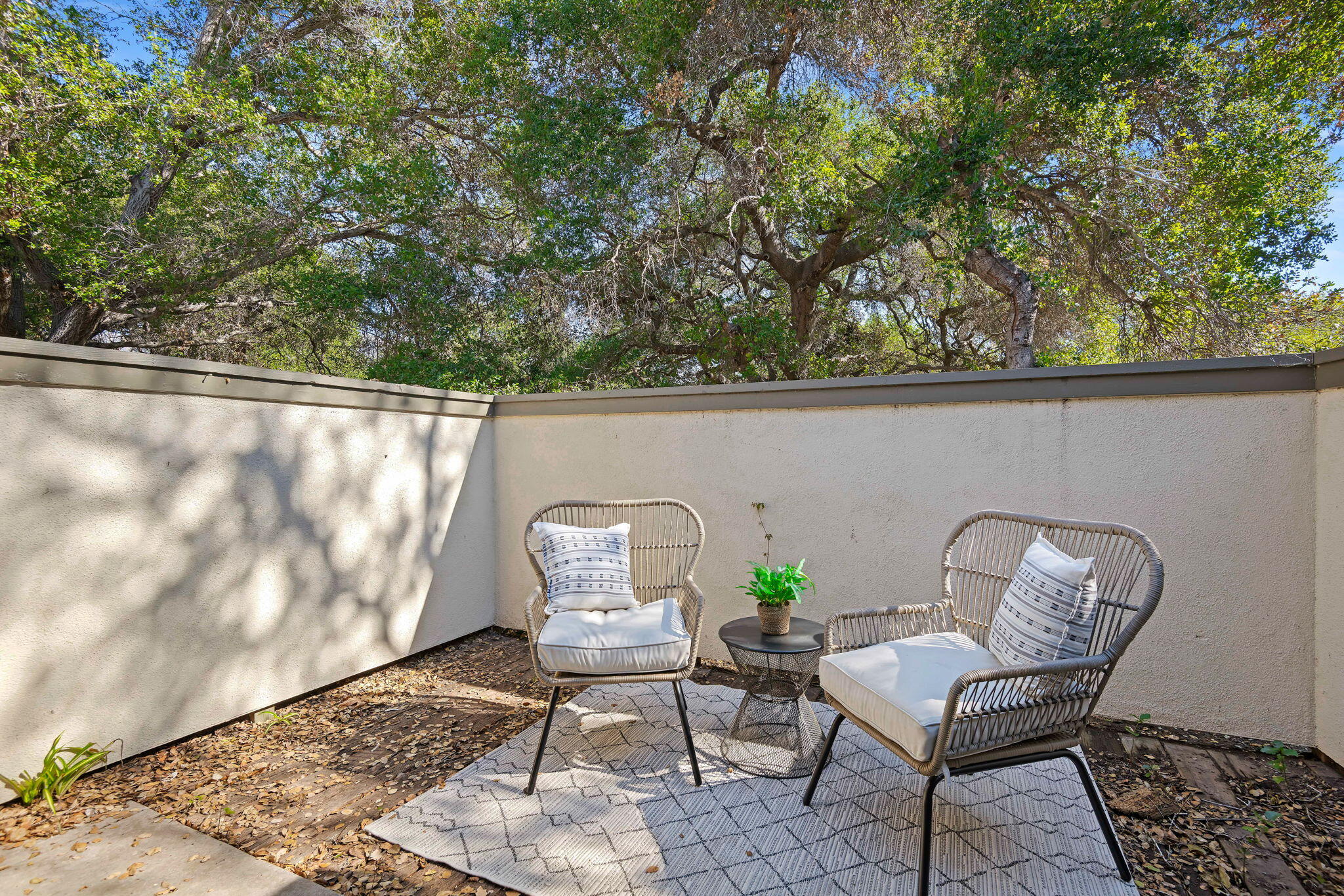 4039 Primavera Road, Unit 1 Santa Barbara, CA 93110 - Photo 12 of 22 Patio