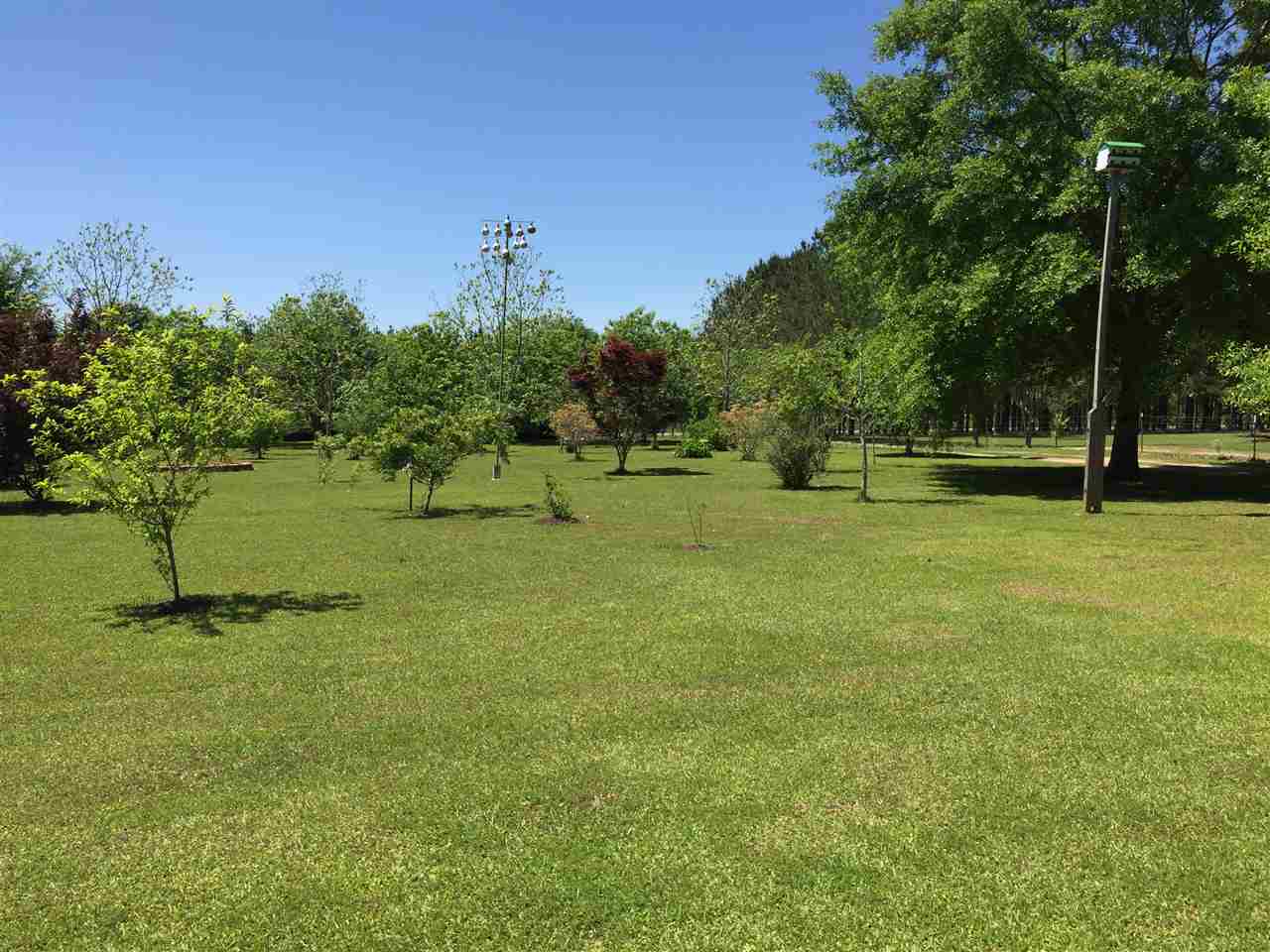14126 County Road 55 Foley, AL 36535 - Photo 38 of 41