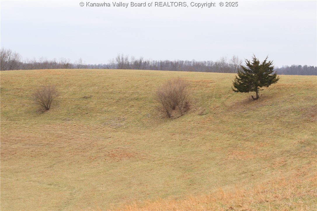 214 Spruce Run Road Ripley, WV 25271 - Photo 24 of 45 Gallery Image 24