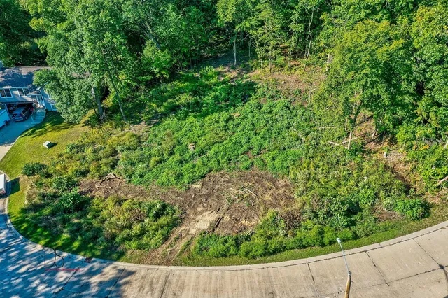 a view of a garden with a plant