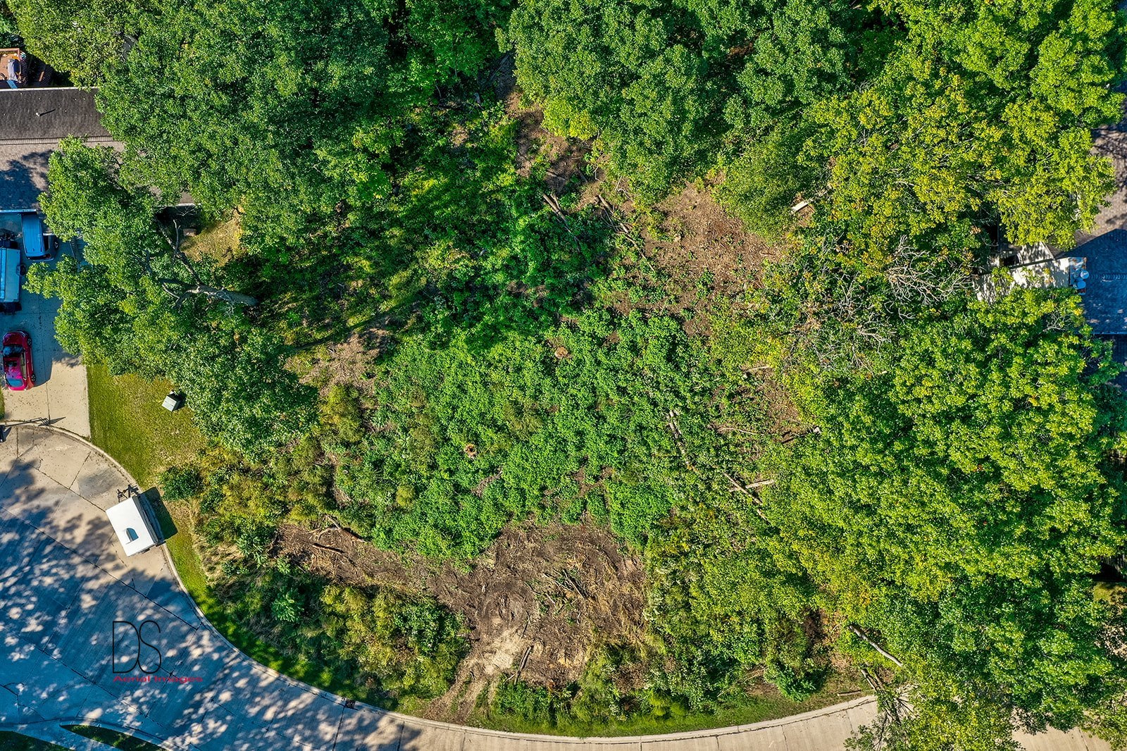 412 Deer Timber Lane Ottawa, IL 61350 - Photo 2 of 9 a view of a plant in a garden