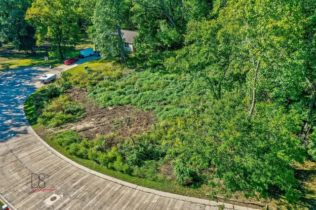 a view of a garden with a pathway
