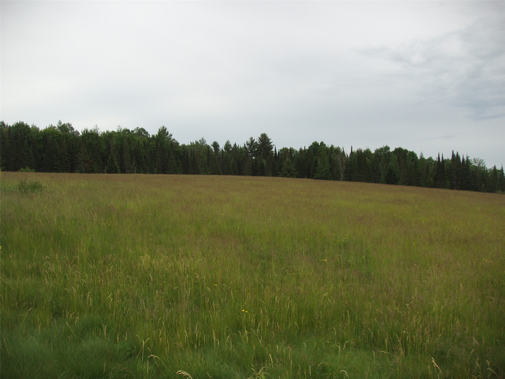 N16798 Bass Lake Road Butternut, WI 54514 - Photo 36 of 52