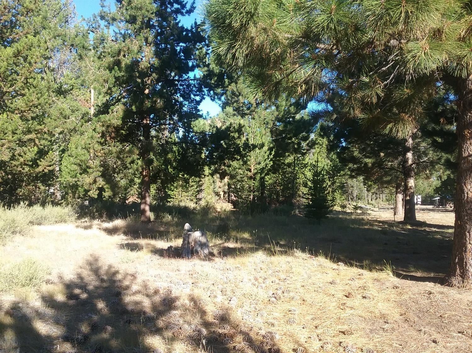 17 Bills Road Gilchrist, OR 97737 - Photo 2 of 17 Gallery Image 2