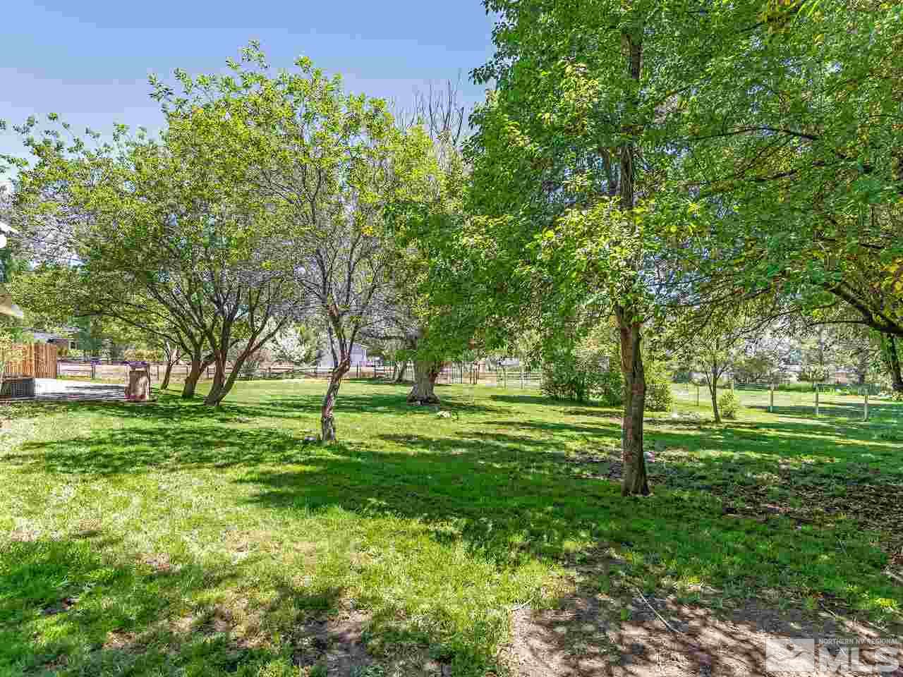 22870 Carriage Drive Reno, NV 89521 - Photo 3 of 16 a view of a grassy field with trees