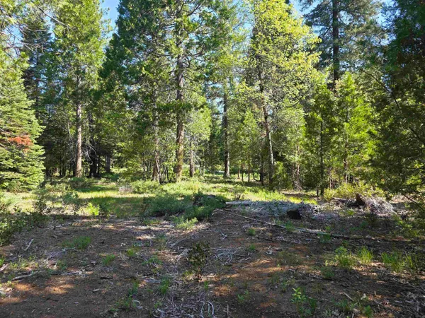 $68,200 | Lot 69 Old Mill Drive, McCloud, CA 96057