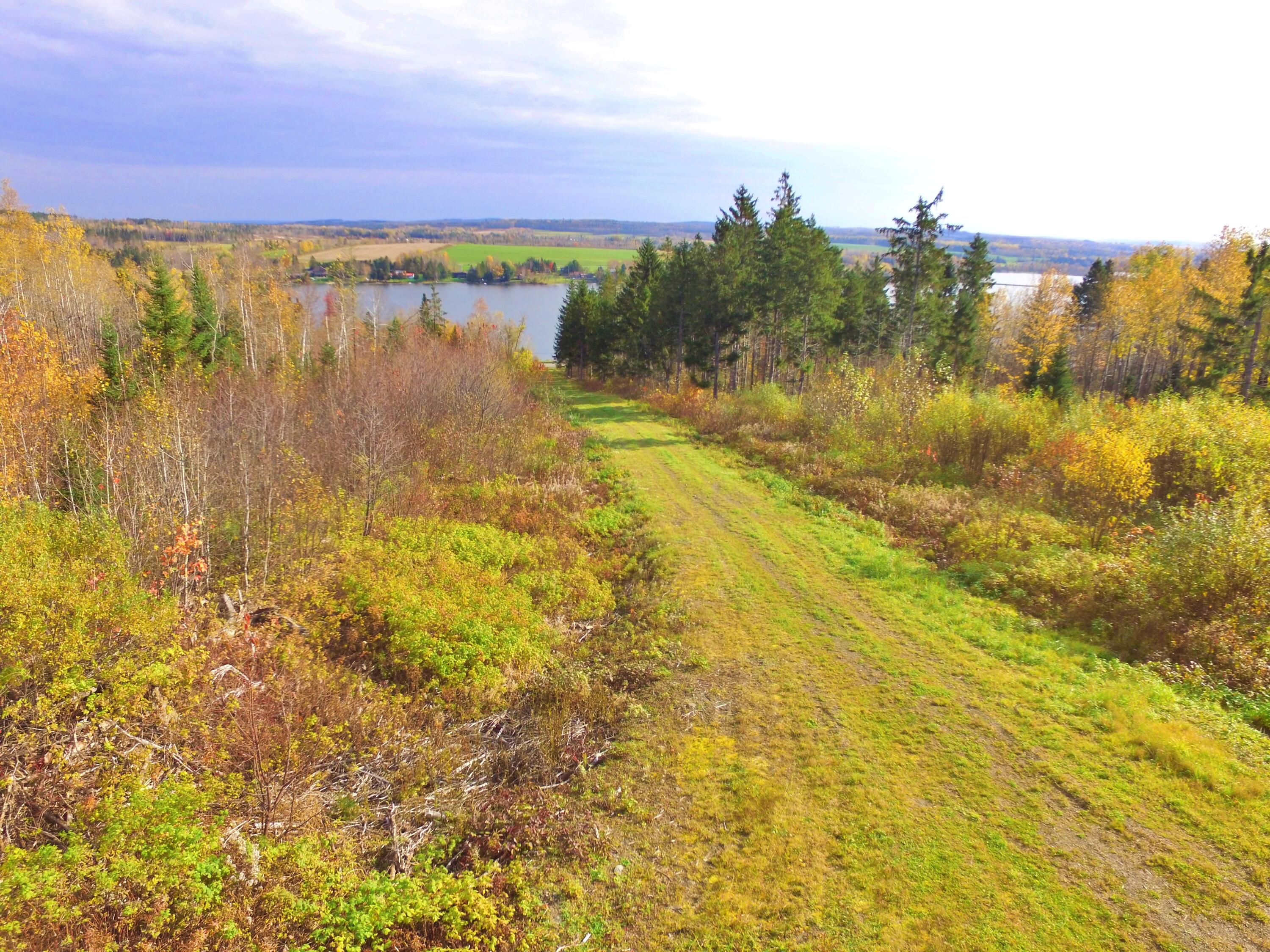 319 Cleveland Road St. Agatha, ME 04772 - Photo 17 of 24 St A DroneIMG_5337
