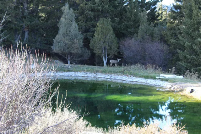 $1,155,000 | 65 Bald Mountain Road, Dubois, WY 82513