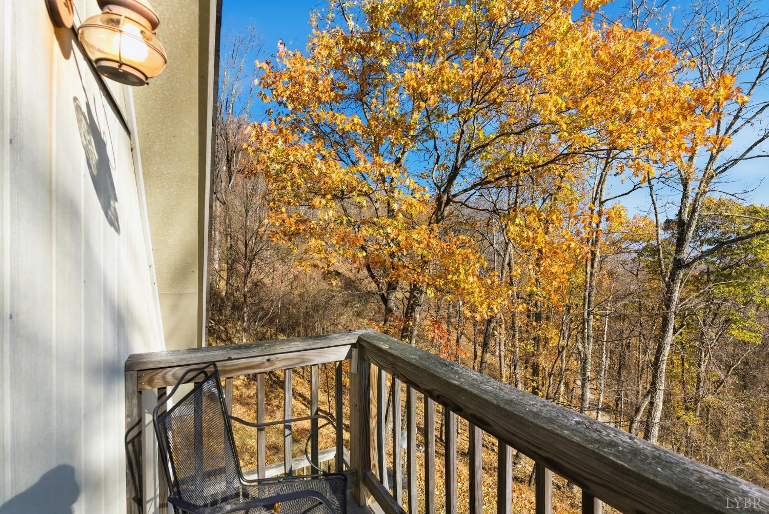 371 Hawks Nest Road Monroe, VA 24574 - Photo 26 of 51 a view of balcony with wooden floor