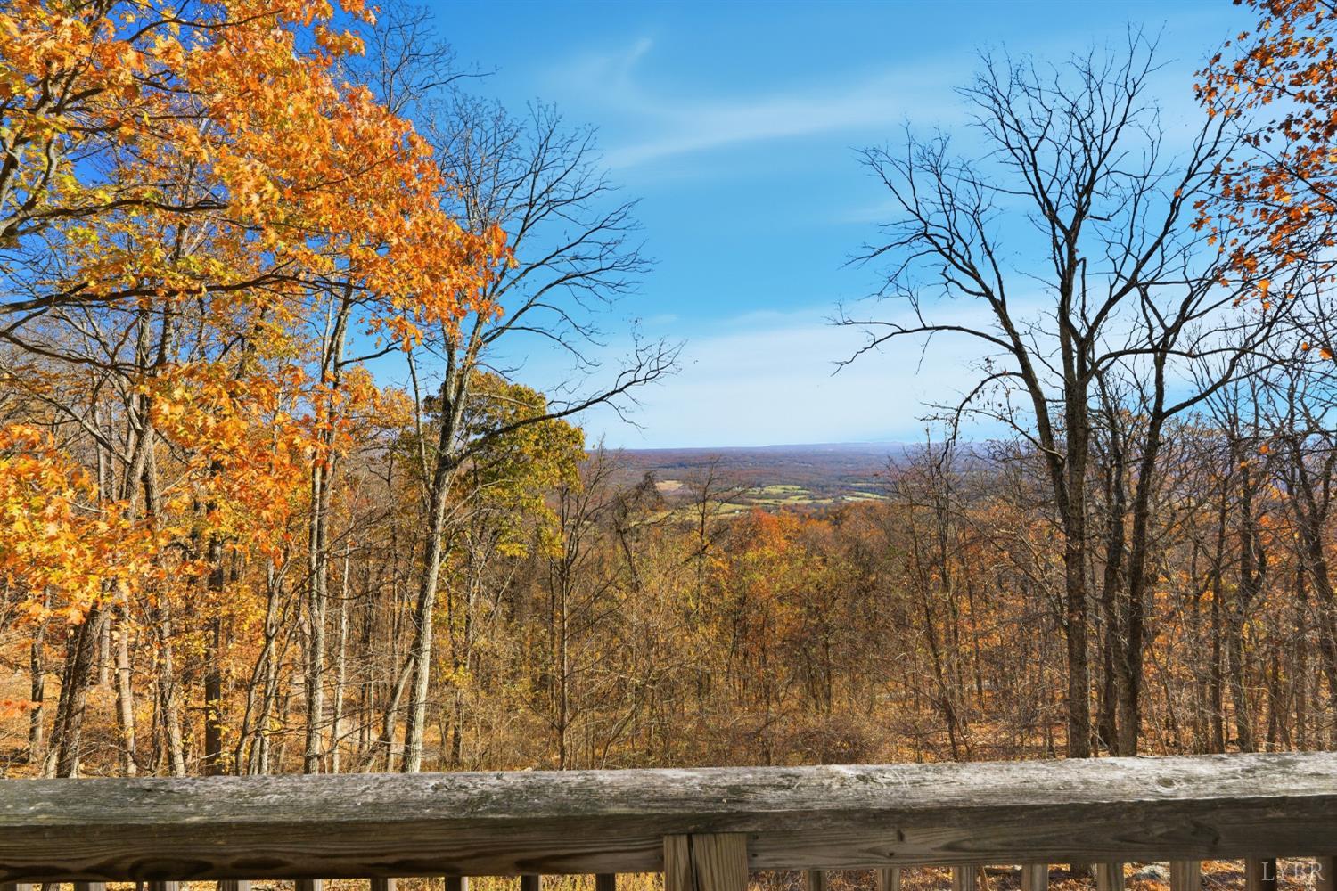 371 Hawks Nest Road Monroe, VA 24574 - Photo 27 of 51 a view of a yard with mountain view