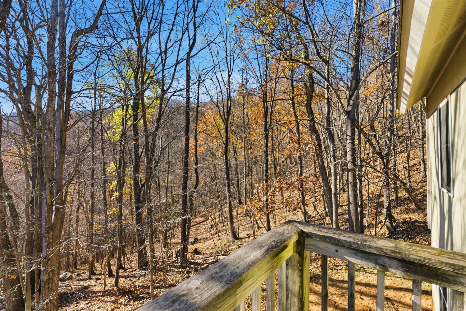 371 Hawks Nest Road Monroe, VA 24574 - Photo 36 of 51