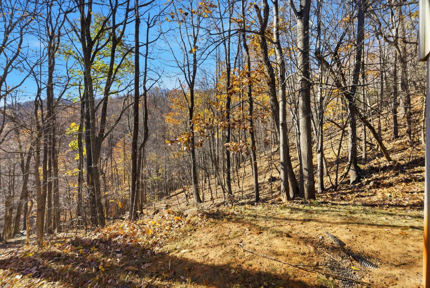 371 Hawks Nest Road Monroe, VA 24574 - Photo 37 of 51 a view of a backyard of the house