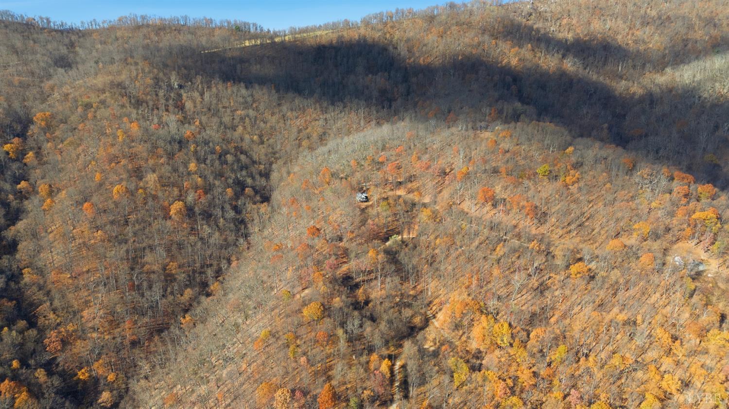 371 Hawks Nest Road Monroe, VA 24574 - Photo 40 of 51 a view of a dry yard