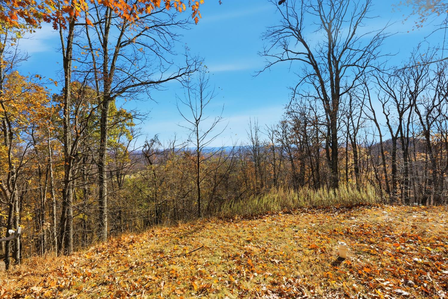371 Hawks Nest Road Monroe, VA 24574 - Photo 46 of 51 a view of a yard with trees