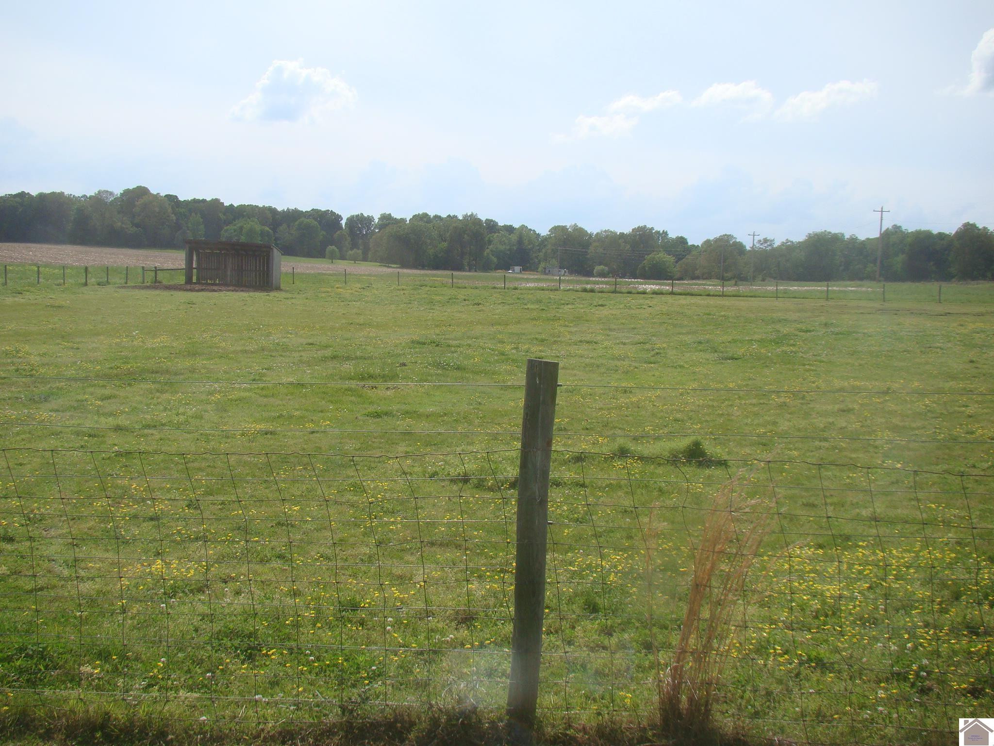 67 Linton Road Cadiz, KY 42211 - Photo 13 of 16 Photo 13
