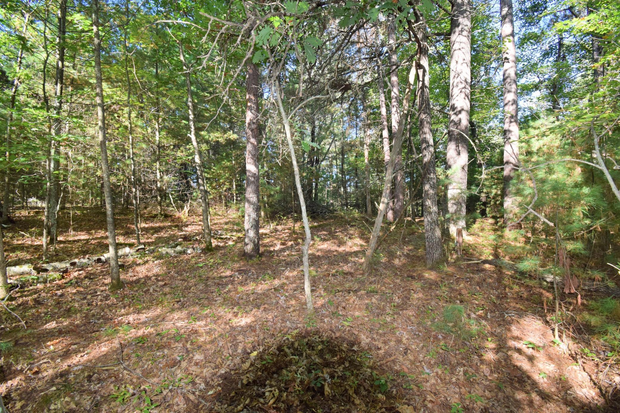 Tbd Tbd Redwing Trailway Danbury, WI 54830 - Photo 16 of 50