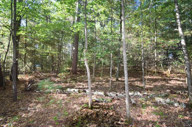 $22,500 | Tbd Tbd Redwing Trailway, Danbury, WI 54830