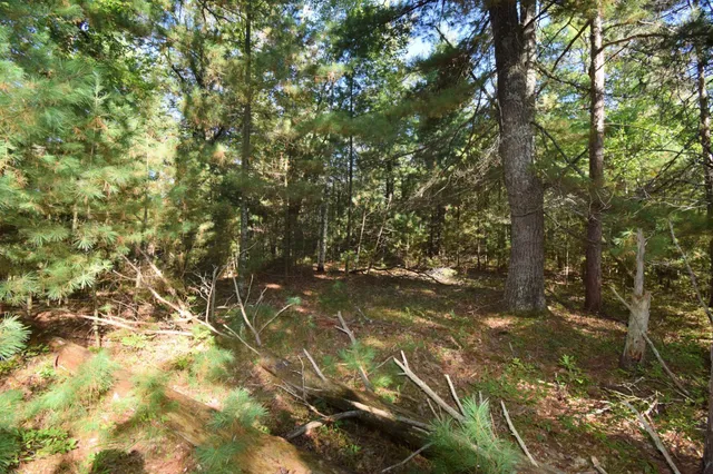 $22,500 | Tbd Tbd Redwing Trailway, Danbury, WI 54830