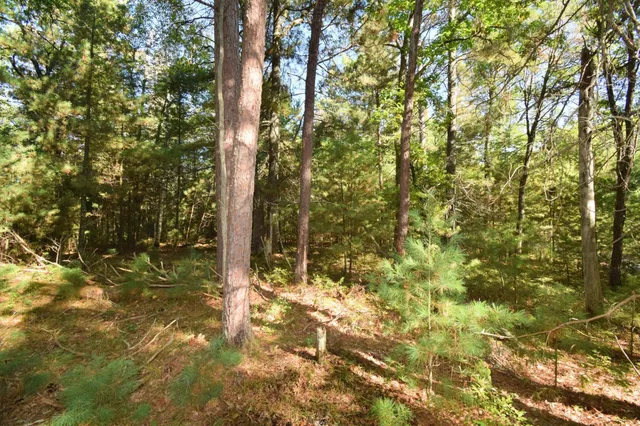 $22,500 | Tbd Tbd Redwing Trailway, Danbury, WI 54830