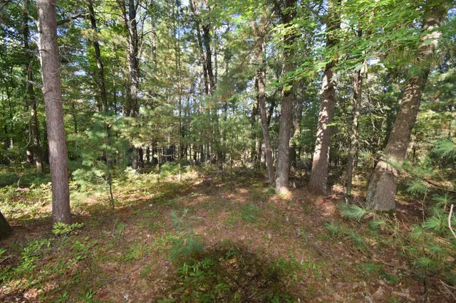 $22,500 | Tbd Tbd Redwing Trailway, Danbury, WI 54830