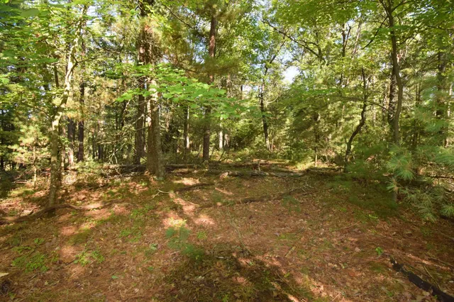 $22,500 | Tbd Tbd Redwing Trailway, Danbury, WI 54830