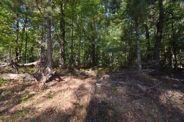 $22,500 | Tbd Tbd Redwing Trailway, Danbury, WI 54830