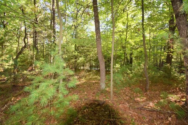 $22,500 | Tbd Tbd Redwing Trailway, Danbury, WI 54830